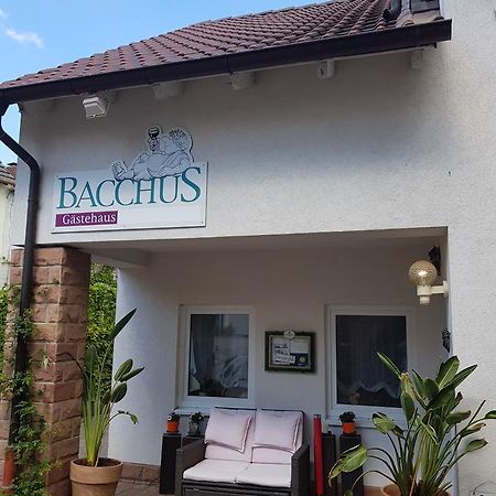Gaestehaus Bacchus Wachenheim an der Weinstraße Zewnętrze zdjęcie