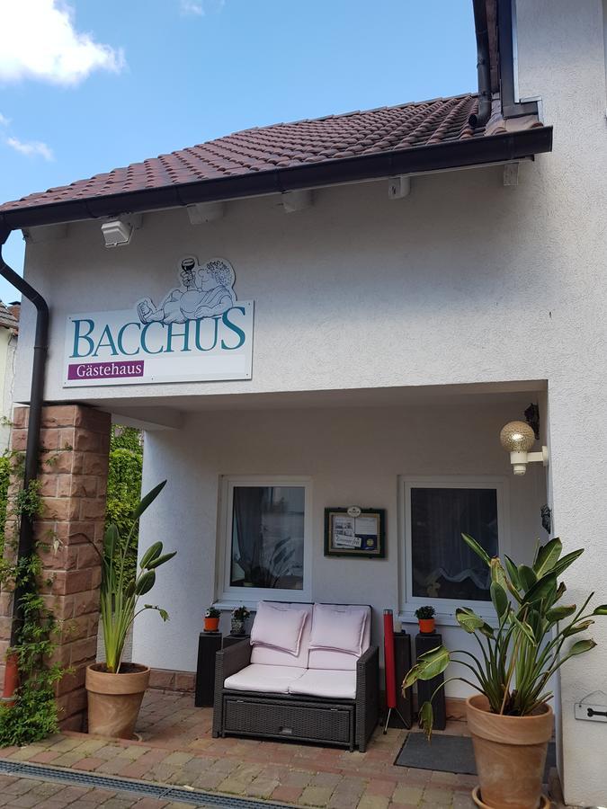 Gaestehaus Bacchus Wachenheim an der Weinstraße Zewnętrze zdjęcie